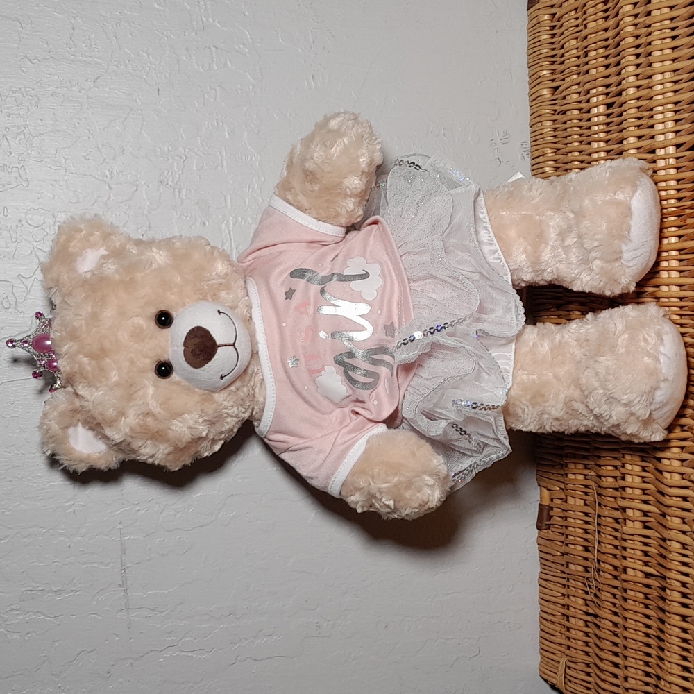 EUC Build A Bear Pink Gem Crown Dressed Its a Girl Top Ballerina Skirt Undies